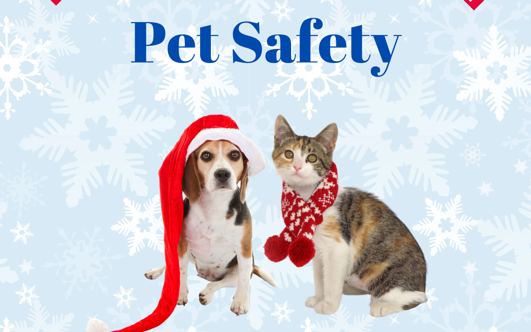 Holiday Pet Safety