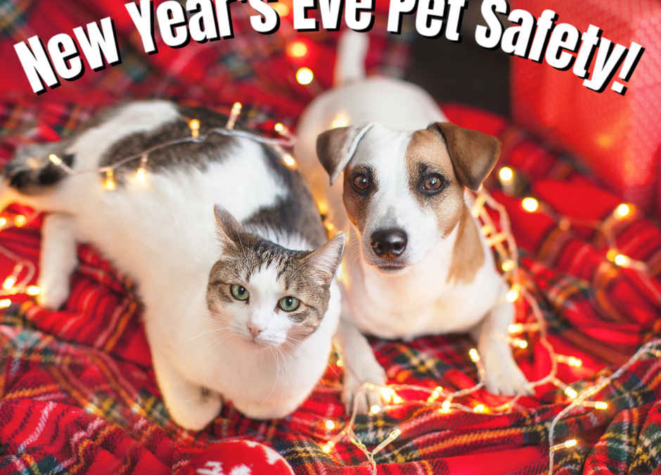 New Year’s Eve Pet Safety